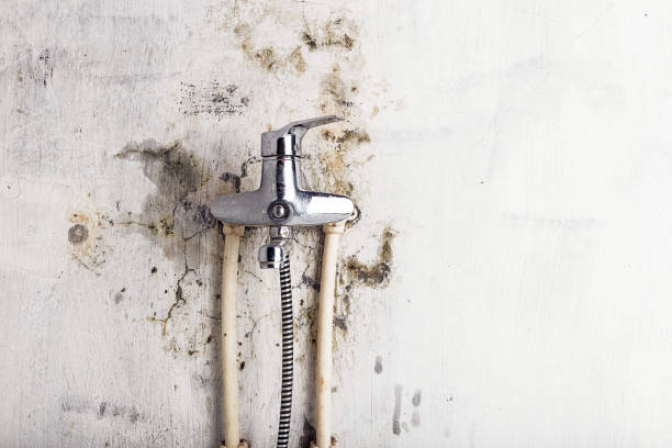 Best HVAC Mold Remediation in Champion Heights, OH