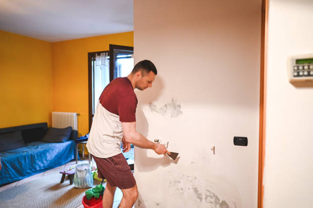Best Basement Mold Remediation in Champion Heights, OH
